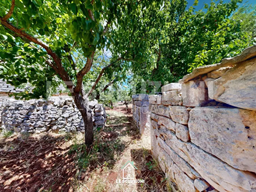 Immagine 17 di Rustico / casale in vendita  in Contrada Foggia di Totaro a Castellana Grotte
