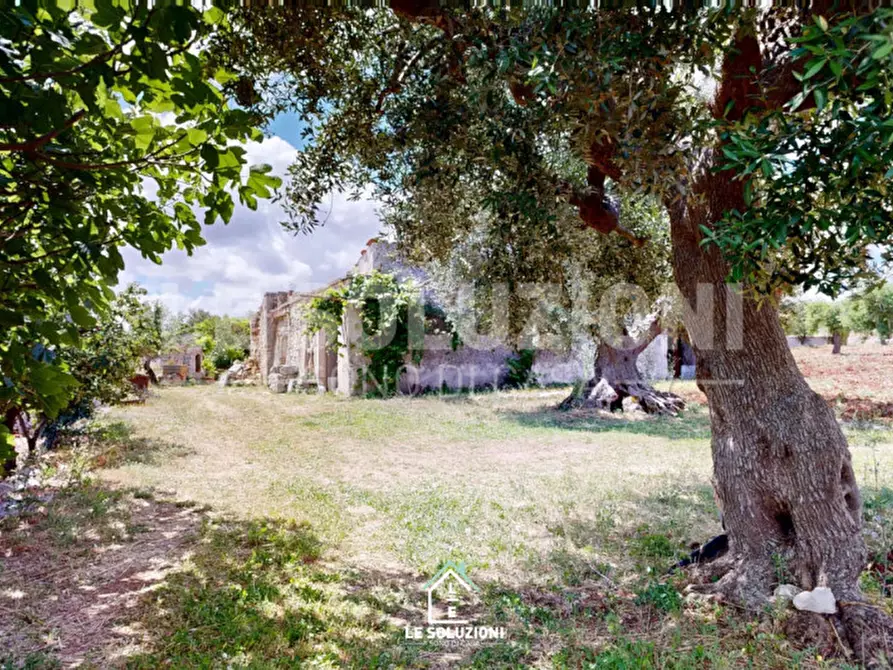 Immagine 18 di Rustico / casale in vendita  in Contrada Foggia di Totaro a Castellana Grotte