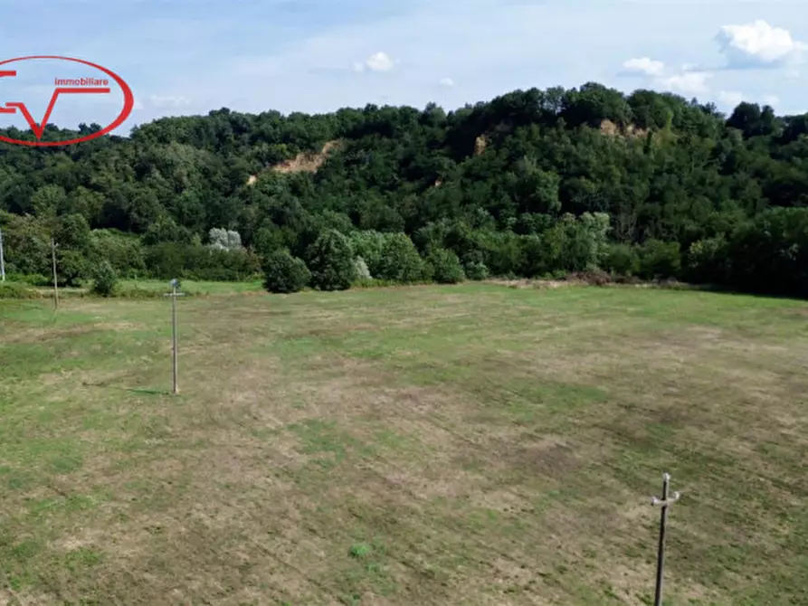 Immagine 4 di Terreno in vendita  in Via delle Carpognane a Terranuova Bracciolini