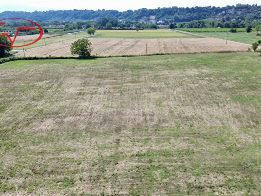 Immagine 5 di Terreno in vendita  in Via delle Carpognane a Terranuova Bracciolini