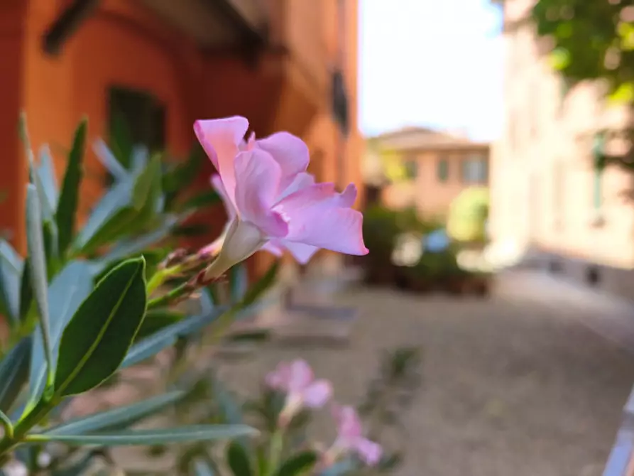 Immagine 6 di Appartamento in vendita  in Via Rialto a Bologna