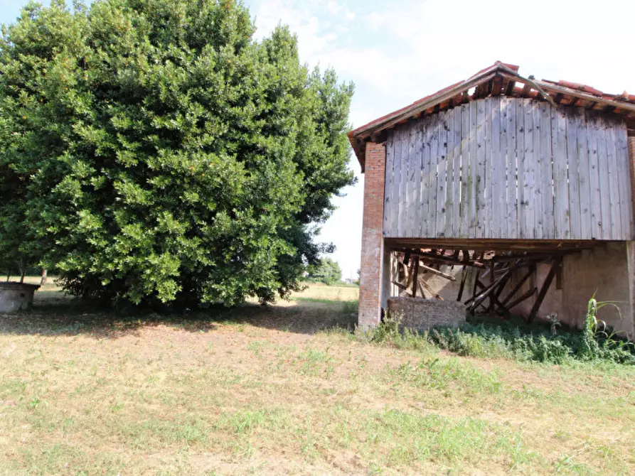 Immagine 2 di Rustico / casale in vendita  in Via San Matteo a San Pietro Viminario