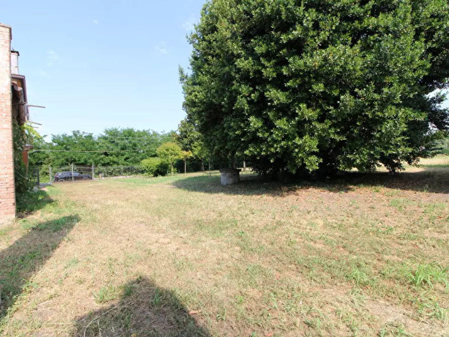 Immagine 4 di Rustico / casale in vendita  in Via San Matteo a San Pietro Viminario