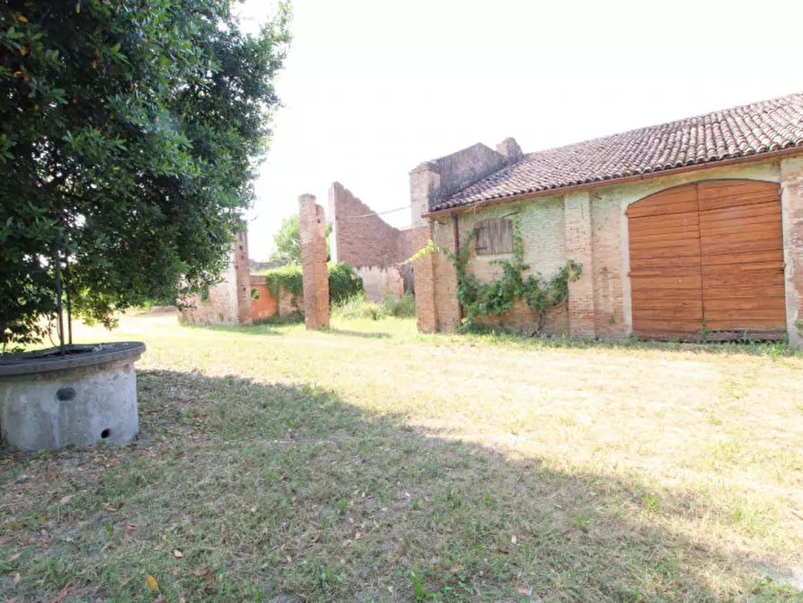 Immagine 7 di Rustico / casale in vendita  in Via San Matteo a San Pietro Viminario