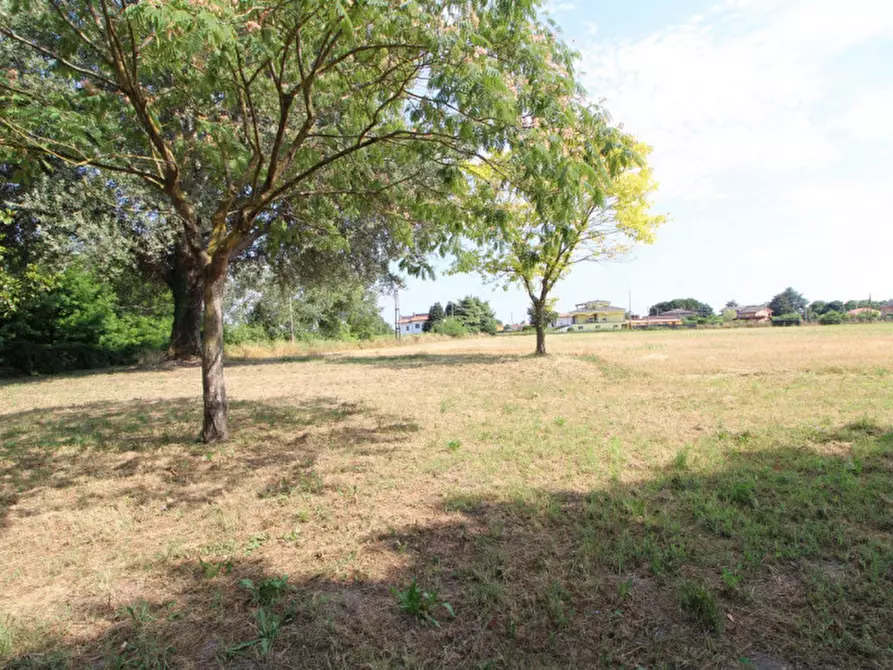Immagine 8 di Rustico / casale in vendita  in Via San Matteo a San Pietro Viminario