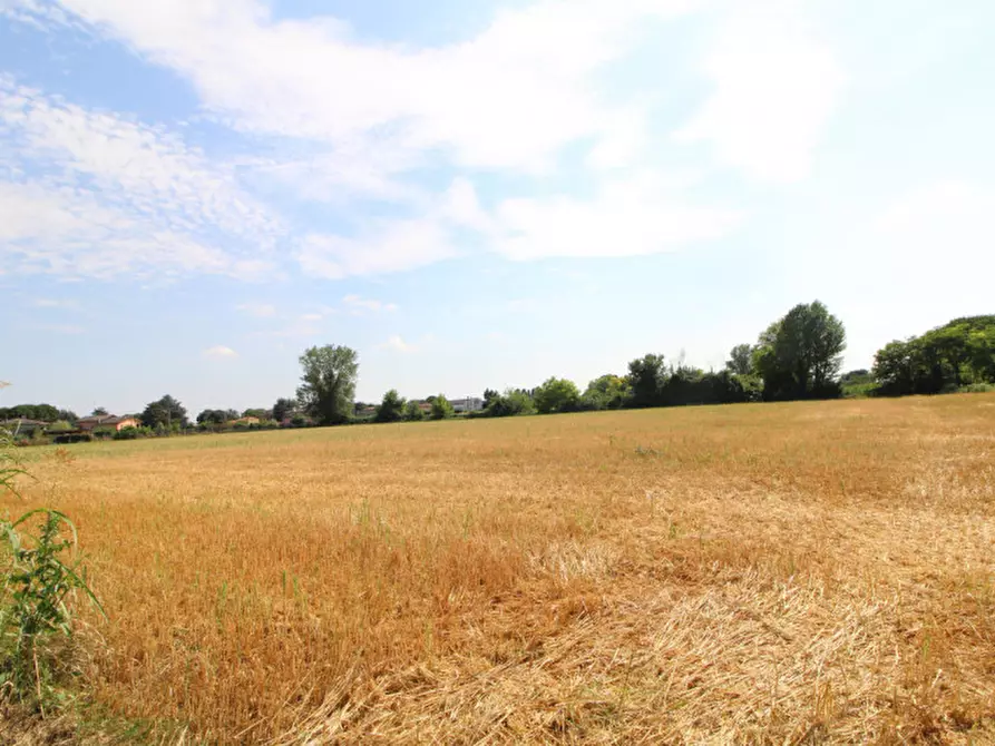 Immagine 9 di Rustico / casale in vendita  in Via San Matteo a San Pietro Viminario