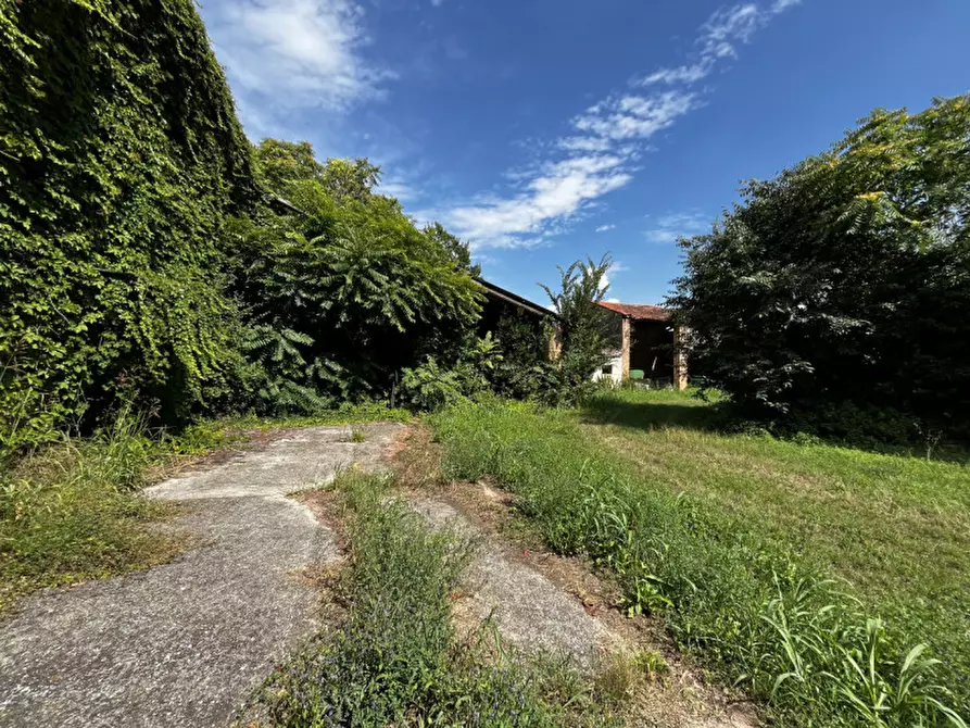 Immagine 3 di Rustico / casale in vendita  in Via Quargente a Villaga
