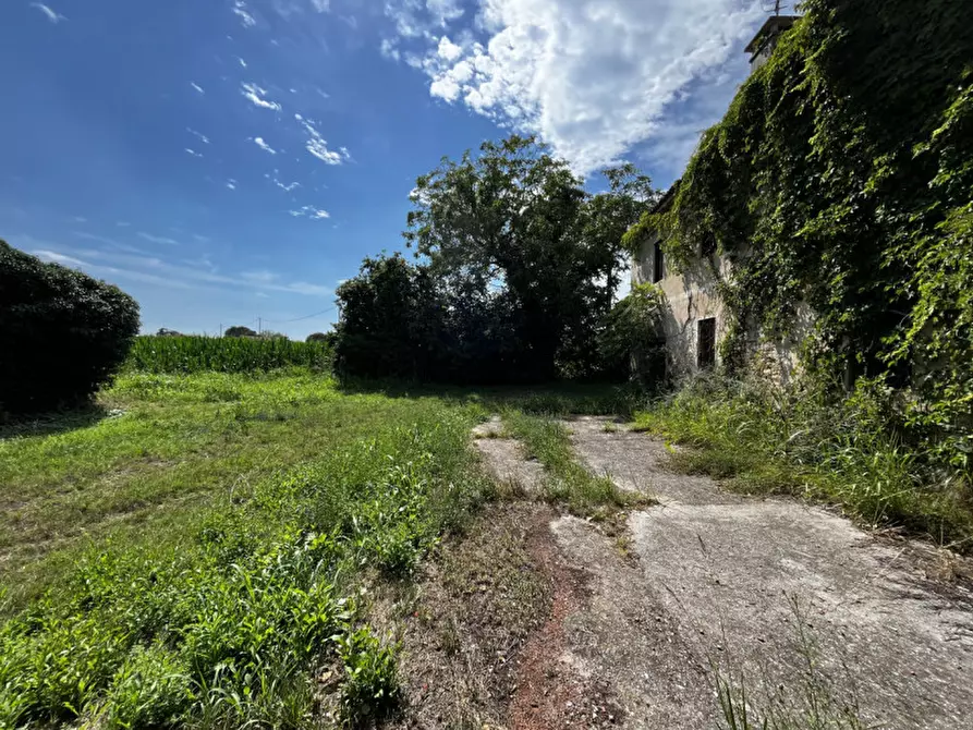 Immagine 6 di Rustico / casale in vendita  in Via Quargente a Villaga