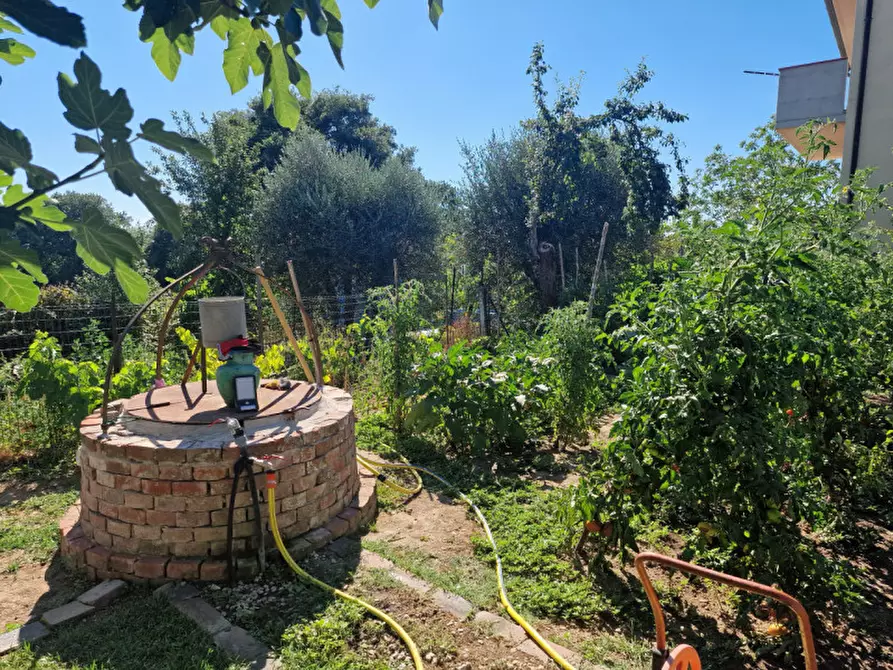 Immagine 31 di Casa indipendente in vendita  a Sinalunga