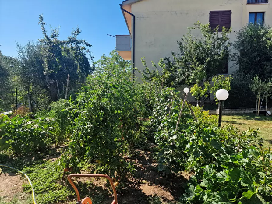 Immagine 32 di Casa indipendente in vendita  a Sinalunga