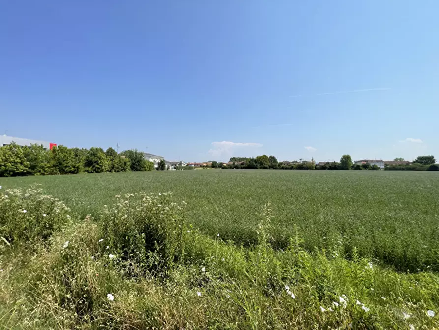 Immagine 1 di Terreno in vendita  a Suzzara