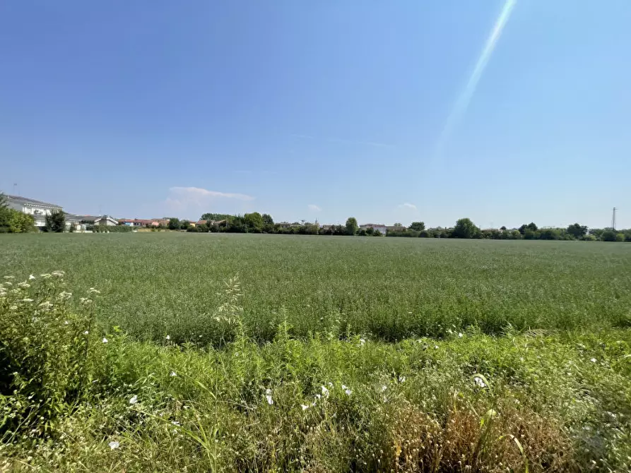 Immagine 2 di Terreno in vendita  a Suzzara