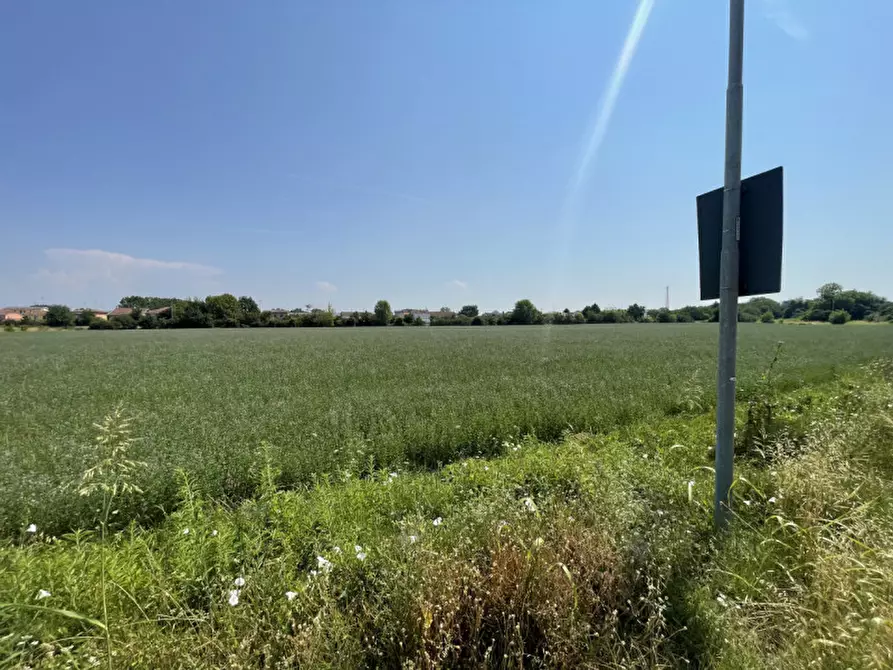 Immagine 3 di Terreno in vendita  a Suzzara