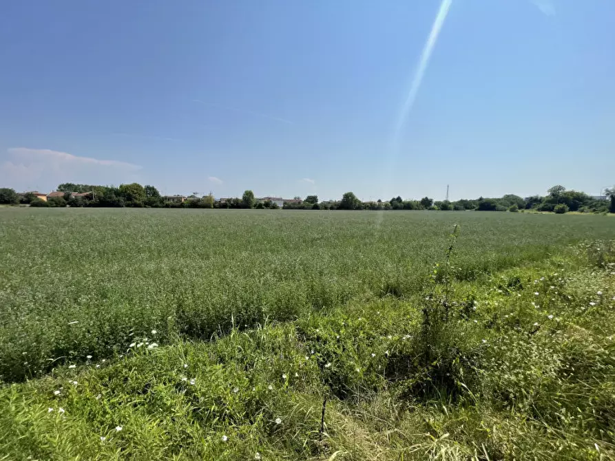Immagine 4 di Terreno in vendita  a Suzzara