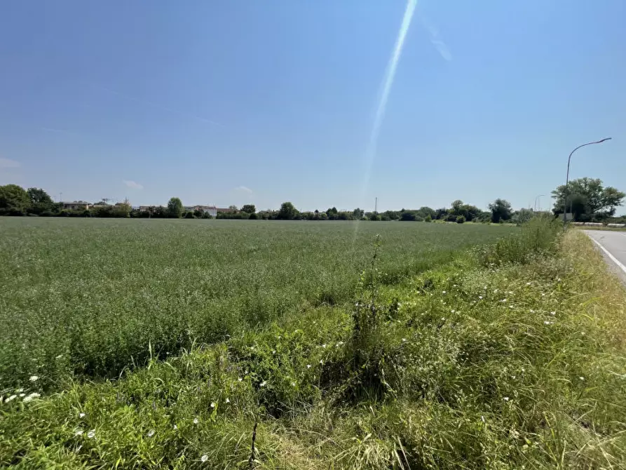 Immagine 5 di Terreno in vendita  a Suzzara