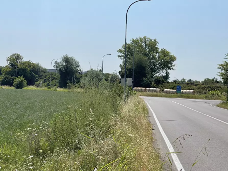 Immagine 6 di Terreno in vendita  a Suzzara