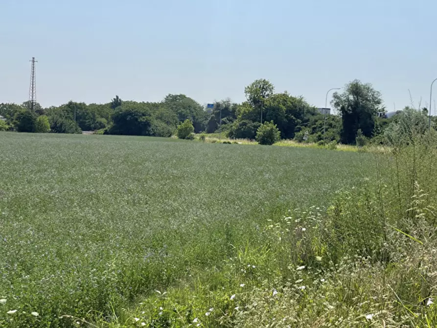 Immagine 7 di Terreno in vendita  a Suzzara