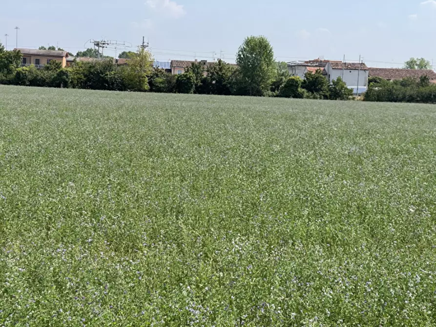Immagine 9 di Terreno in vendita  a Suzzara