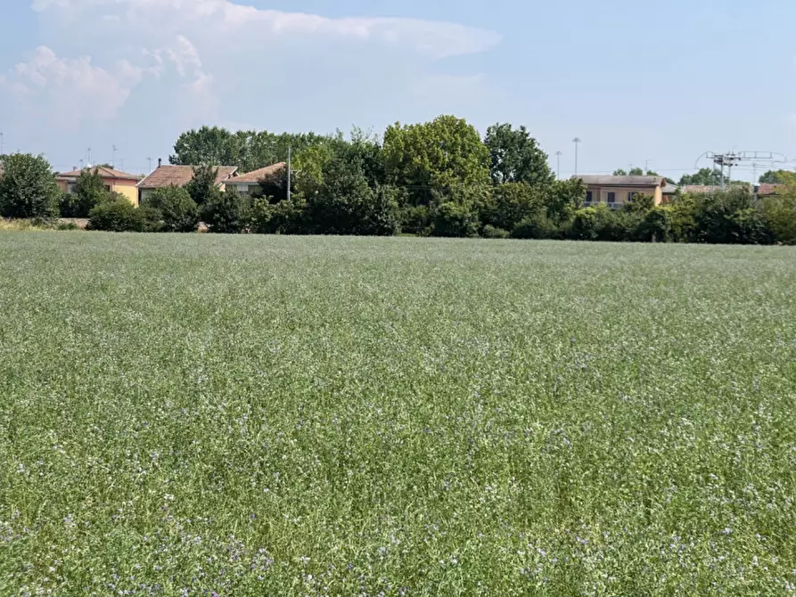 Immagine 10 di Terreno in vendita  a Suzzara