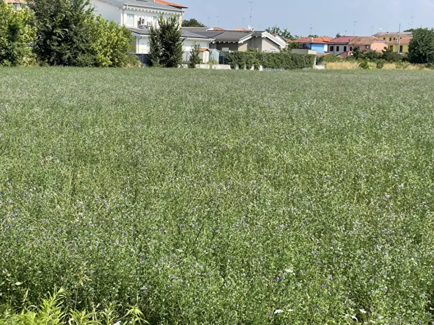 Immagine 11 di Terreno in vendita  a Suzzara