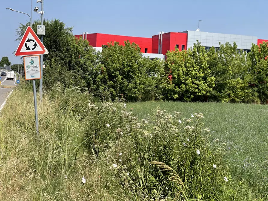Immagine 12 di Terreno in vendita  a Suzzara