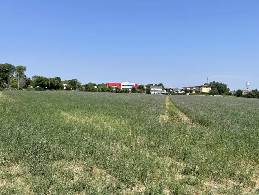 Immagine 13 di Terreno in vendita  a Suzzara