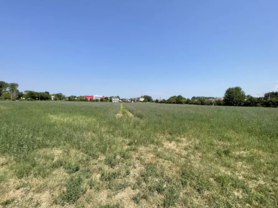 Immagine 14 di Terreno in vendita  a Suzzara