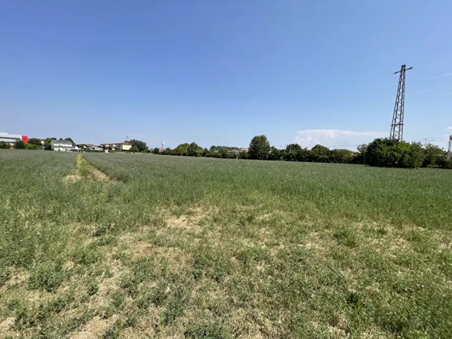 Immagine 15 di Terreno in vendita  a Suzzara