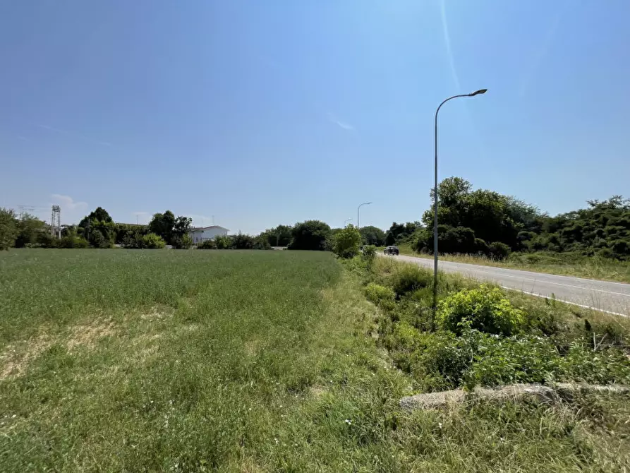 Immagine 16 di Terreno in vendita  a Suzzara