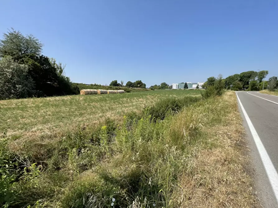 Immagine 18 di Terreno in vendita  a Suzzara
