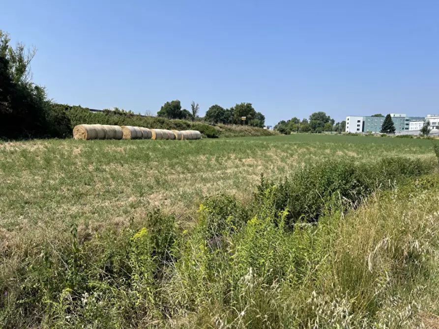 Immagine 19 di Terreno in vendita  a Suzzara