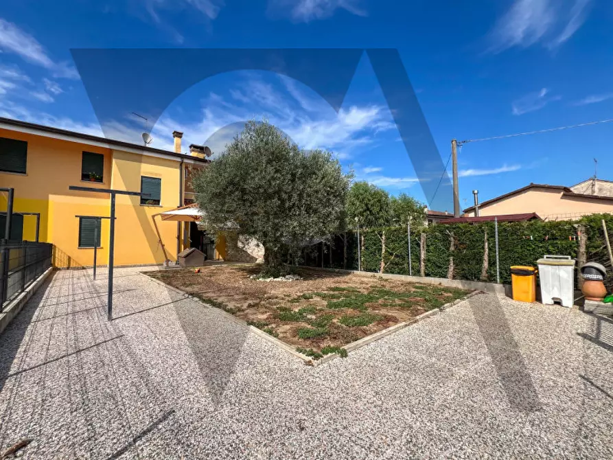 Immagine 19 di Villetta a schiera in vendita  in Via dei mille a Cavarzere