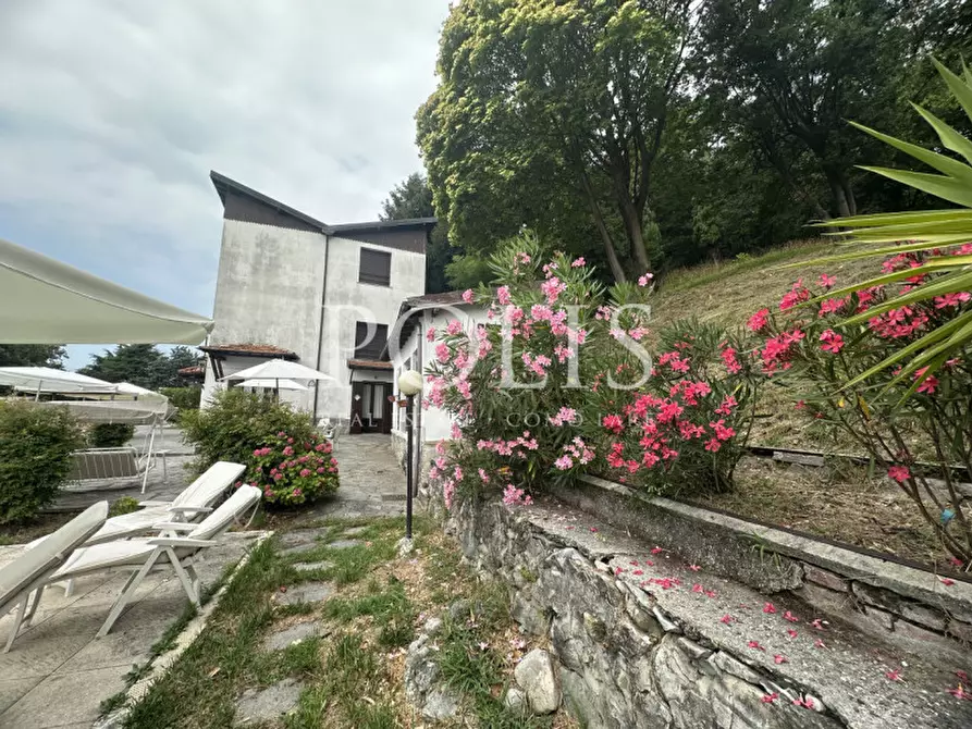 Immagine 22 di Villa in vendita  a Eupilio