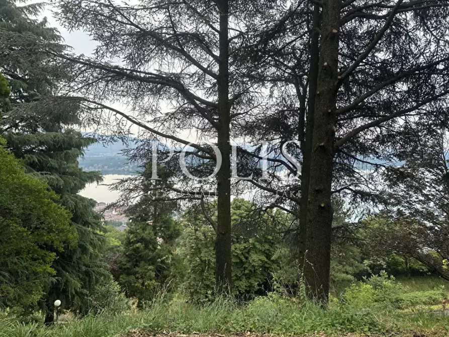 Immagine 24 di Villa in vendita  a Eupilio