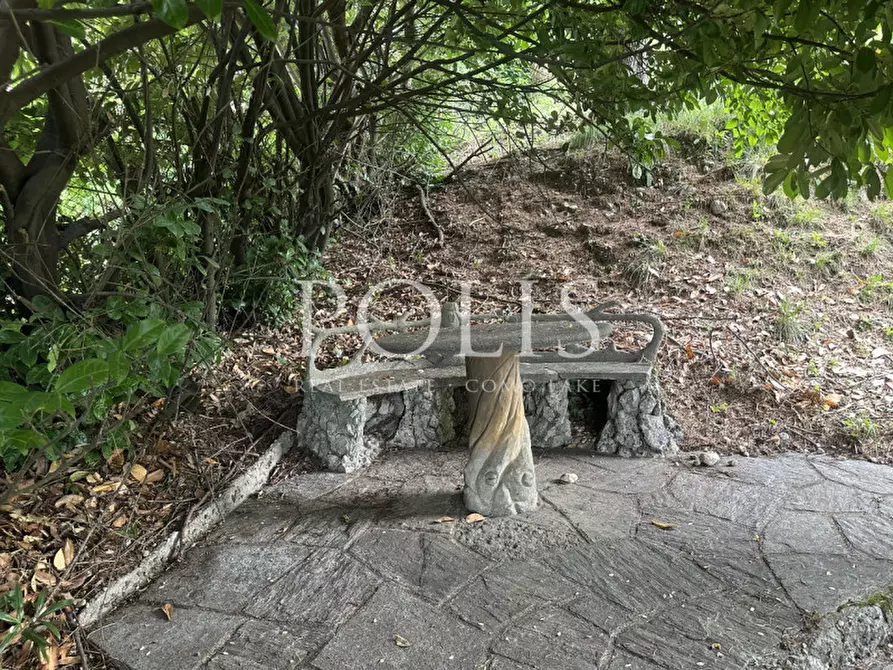 Immagine 31 di Villa in vendita  a Eupilio
