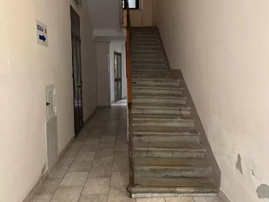 Immagine 14 di Appartamento in affitto  in Via Vergerio 12 a Trieste