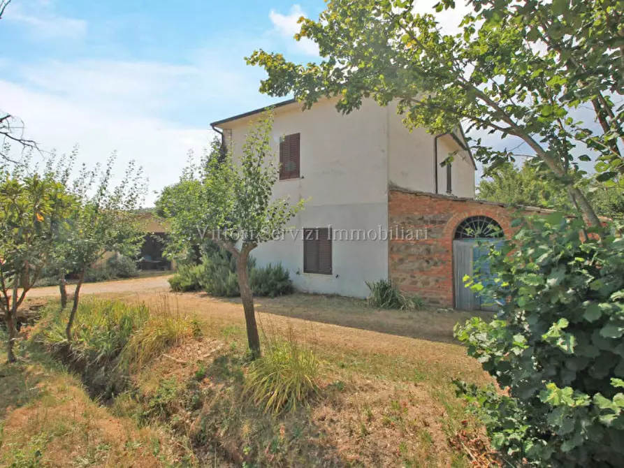 Immagine 2 di Rustico / casale in vendita  in via di torrita a Montepulciano