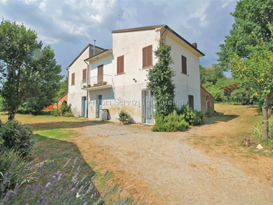 Immagine 4 di Rustico / casale in vendita  in via di torrita a Montepulciano
