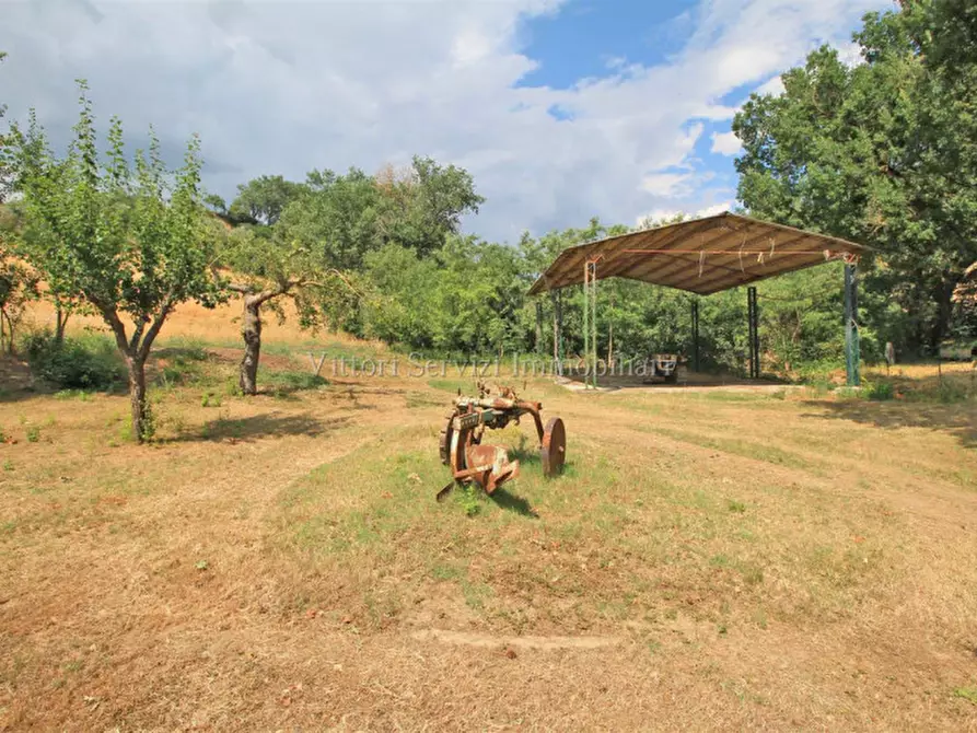Immagine 26 di Rustico / casale in vendita  in via di torrita a Montepulciano