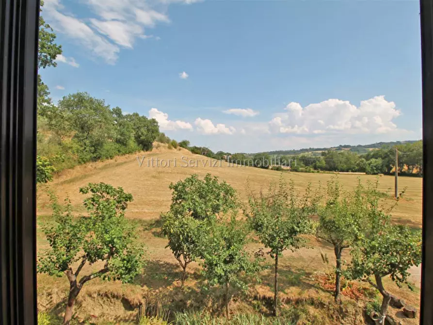 Immagine 31 di Rustico / casale in vendita  in via di torrita a Montepulciano