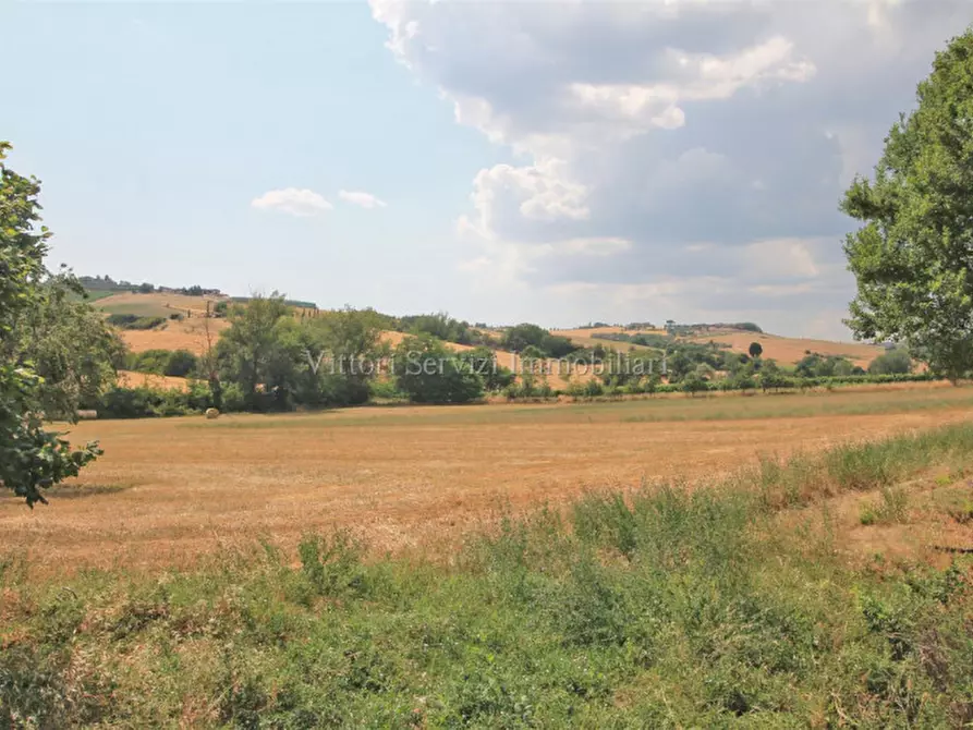 Immagine 32 di Rustico / casale in vendita  in via di torrita a Montepulciano