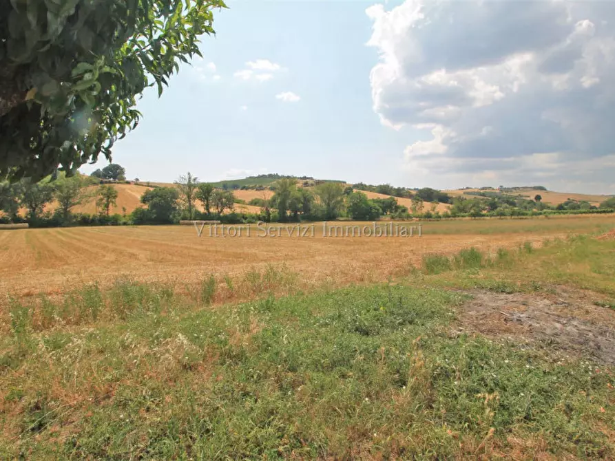 Immagine 33 di Rustico / casale in vendita  in via di torrita a Montepulciano