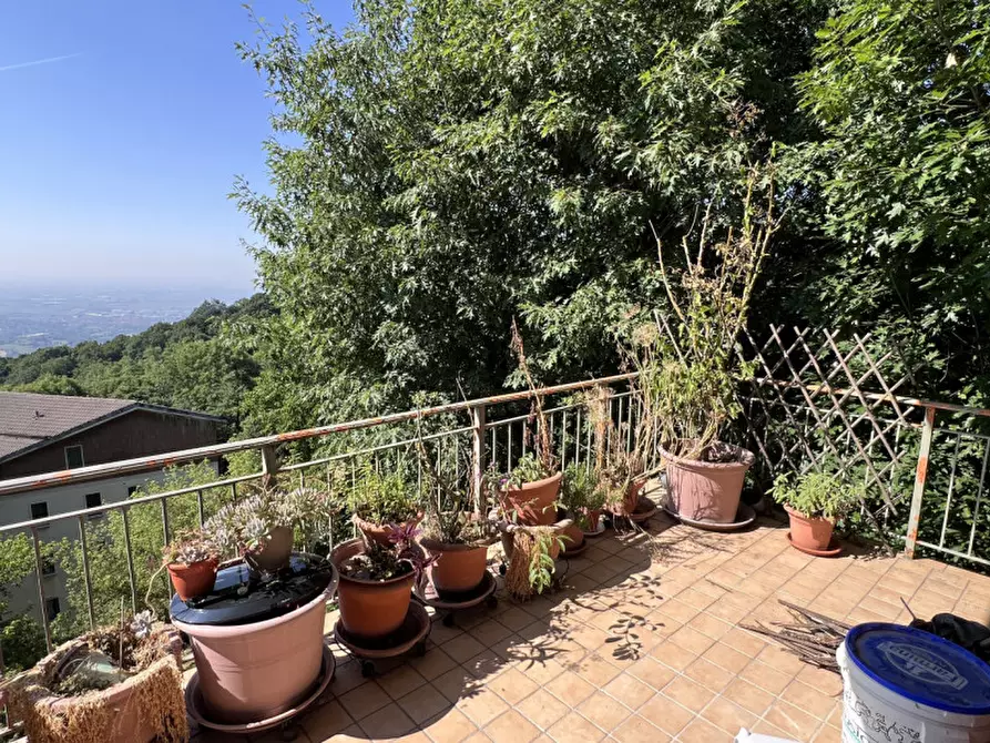 Immagine 3 di Appartamento in vendita  a Pecetto Torinese