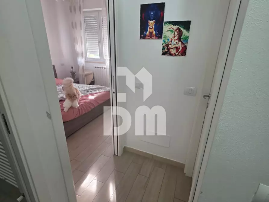 Immagine 9 di Appartamento in vendita  in Via Porcareda a Arcola