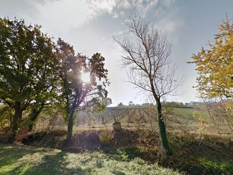Immagine 2 di Terreno in vendita  in Via Fossato, Loc. Cantalupo a Bevagna