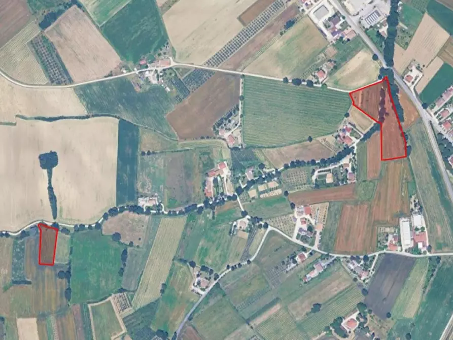 Immagine 3 di Terreno in vendita  in Via Fossato, Loc. Cantalupo a Bevagna