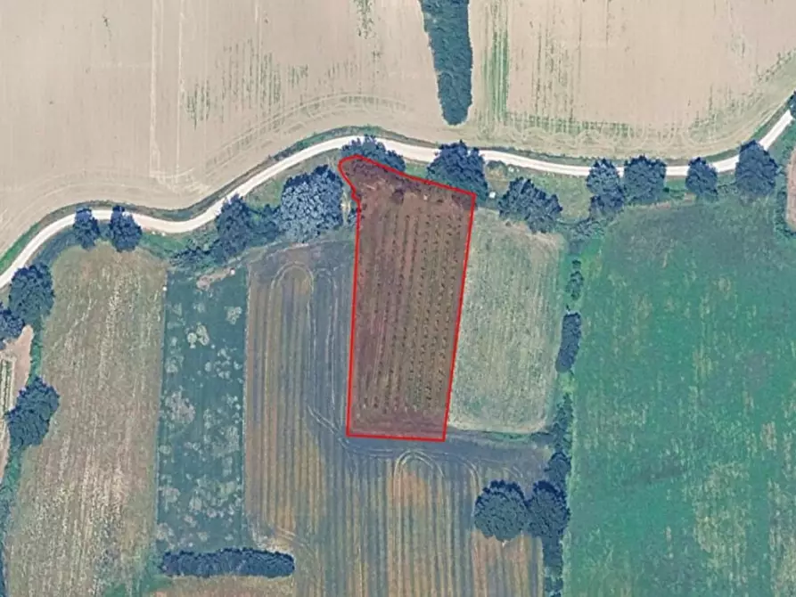 Immagine 5 di Terreno in vendita  in Via Fossato, Loc. Cantalupo a Bevagna