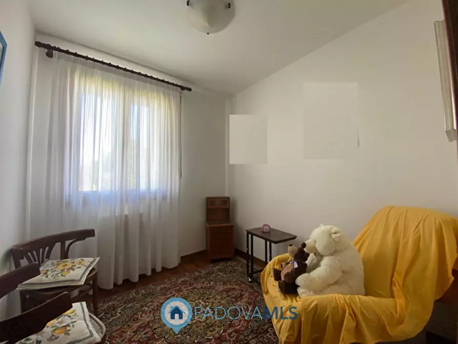 Immagine 19 di Villa in vendita  in Via Mare a Conselve
