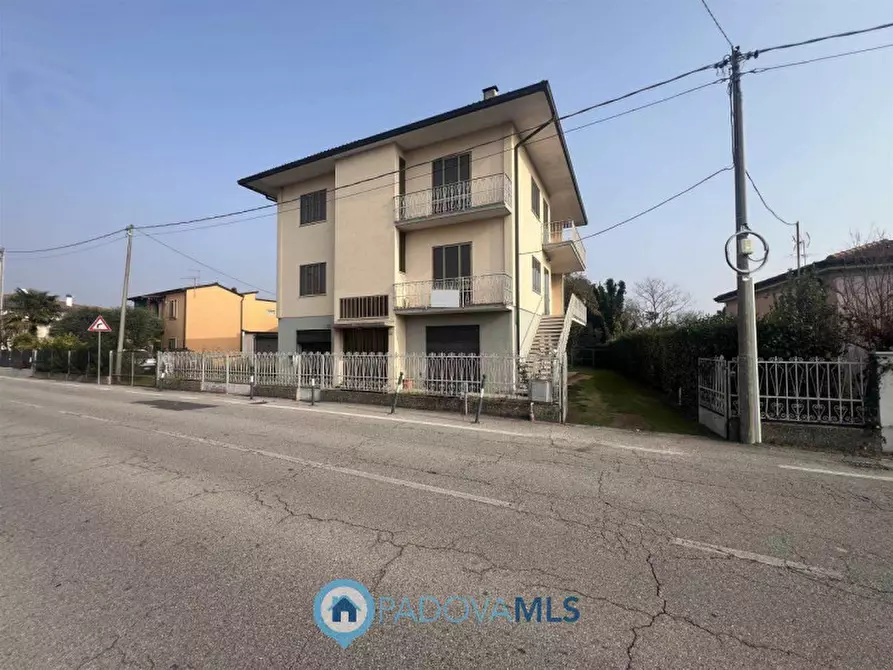 Immagine 12 di Casa bifamiliare in vendita  in Via G. Marconi, 71 a San Pietro Viminario