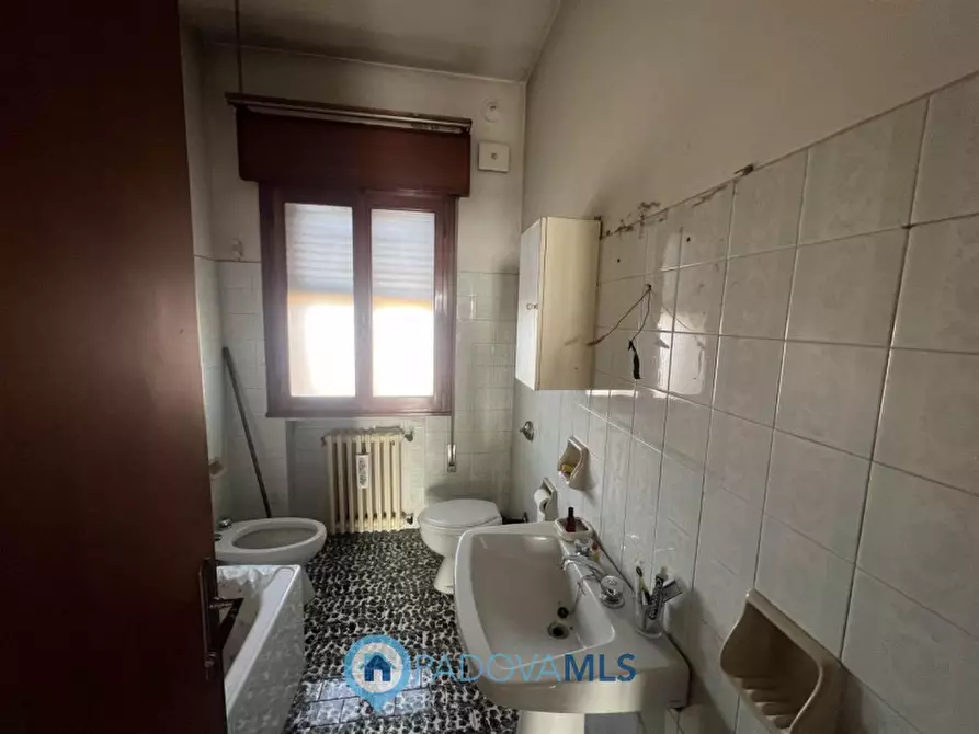 Immagine 17 di Casa bifamiliare in vendita  in Via G. Marconi, 71 a San Pietro Viminario